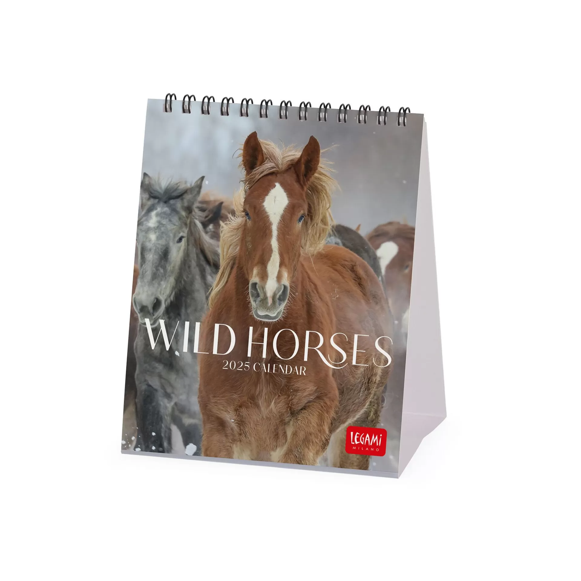 Legami Milano Tischkalender^Tischkalender 2025 - 12 x 14,5 cm