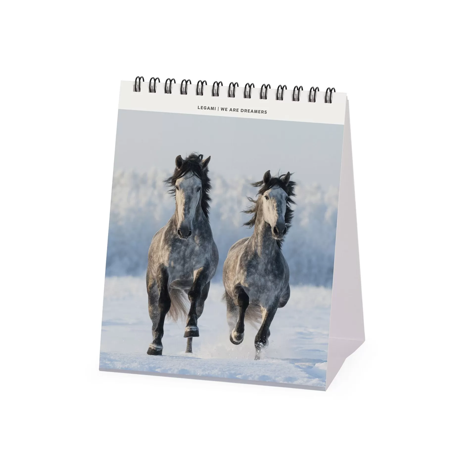 Legami Milano Tischkalender^Tischkalender 2025 - 12 x 14,5 cm